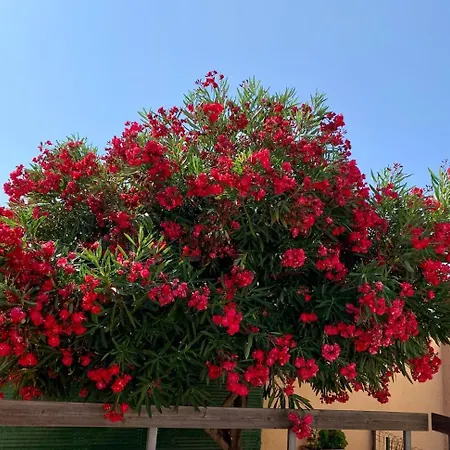 Charmante Maison Avec Sa Terrasse Au Soleil Apartment