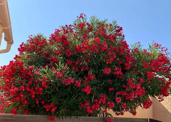 Charmante Maison Avec Sa Terrasse Au Soleil Apartman